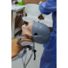 ADC Dental Chair Mount Manikin with ADC DM1 Mask & Magnetic Jaws