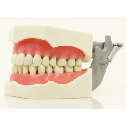 ADC Dental Chair Mount Manikin with ADC DM1 Mask & Magnetic Jaws
