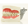 ADC Dental Chair Mount Manikin with ADC DM1 Mask & Magnetic Jaws
