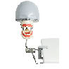 ADC Dental Manikin with jaws with Navadha mask