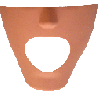 iPhantom dental manikin Fletcher