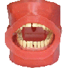 Oral Cavity Cover for Navadha ZX Jaw & Oral Cavity with Drainage Connector and Pipe
