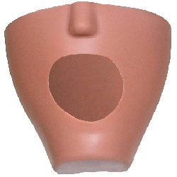 iSim dental manikin Fletcher & Without drainage
