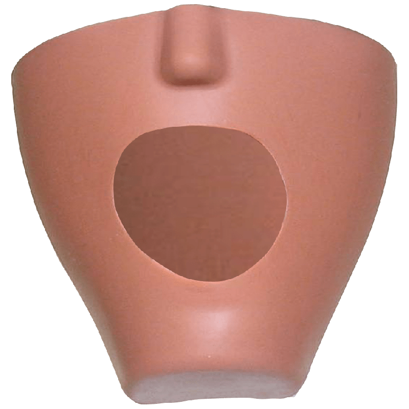 iSim dental manikin Fletcher & With drainage