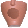 iSim dental manikin Fletcher & With drainage