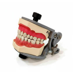 Universal Adjustable Articulator for dental models