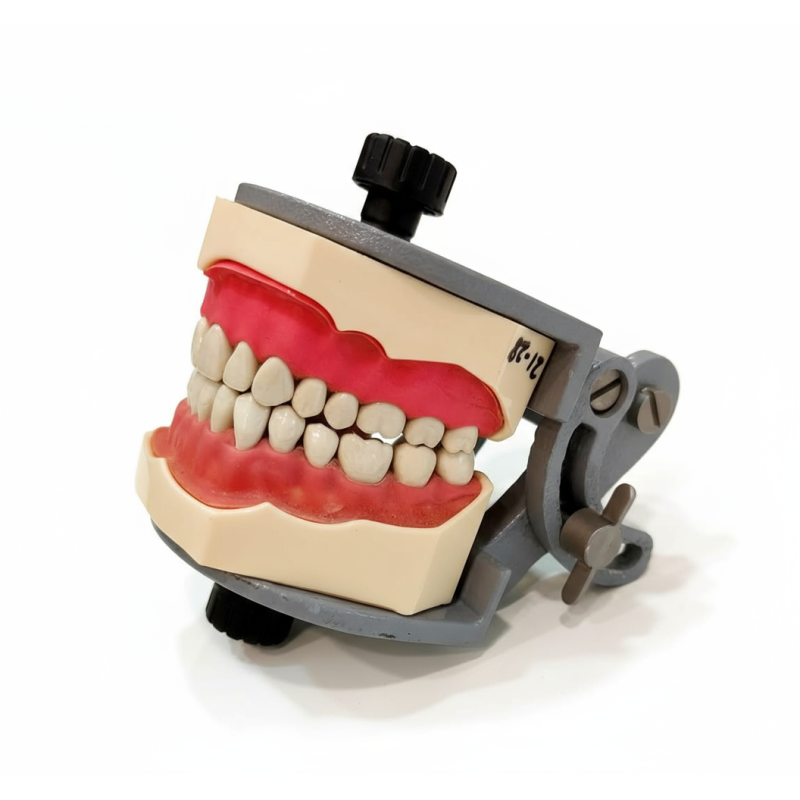 Universal Adjustable Articulator for dental models