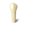 Frasaco AG-3 ZE Typodont Teeth & 13