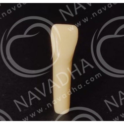 Frasaco AG-3 ZE Typodont Teeth & 31