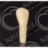 Frasaco AG-3 ZE Typodont Teeth & 33
