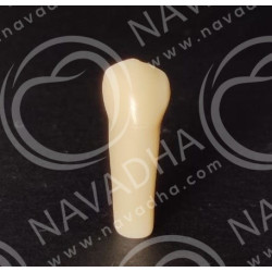 Frasaco AG-3 ZE Typodont Teeth & 34