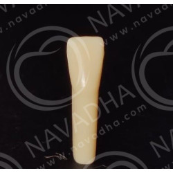 Frasaco AG-3 ZE Typodont Teeth & 42