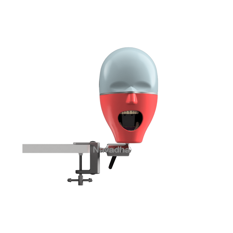 ORE benchmount manikin with Frasaco AG-3 Jaw Set