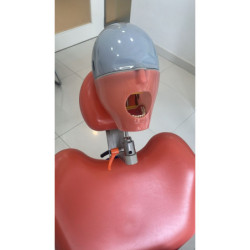 Navadha ORE Exam Dental Training Manikin