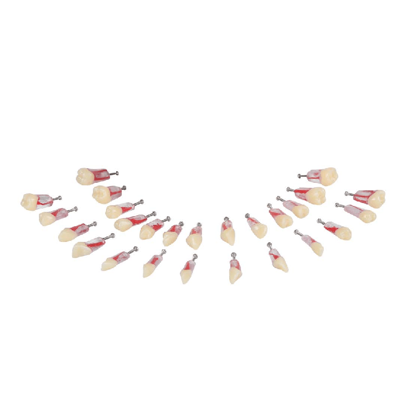 Replacement Teeth for Navadha Endo jaw & #47