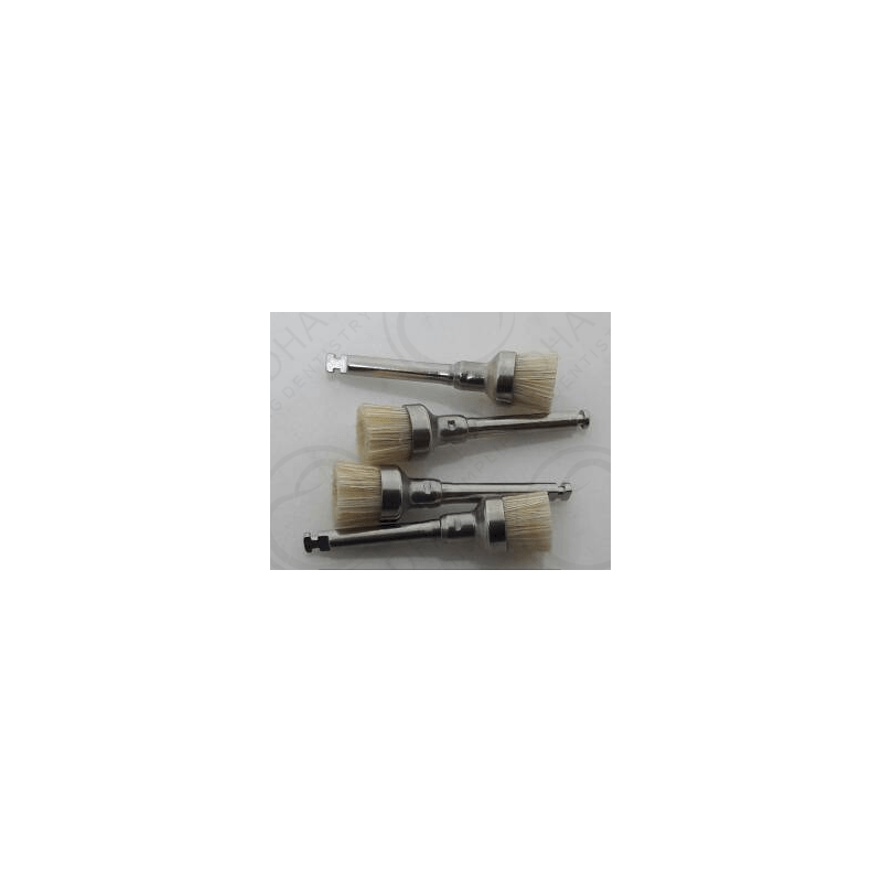 Prophy Bristle Small Cup RA Shank