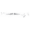 Navadha Gracey Curette Instruments & 3/4
