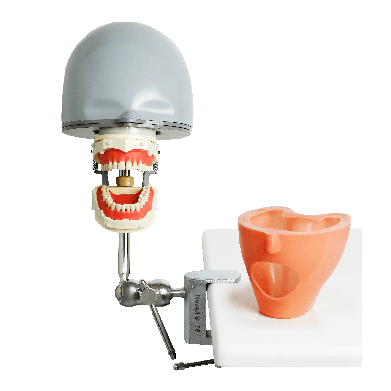 ADC Dental Manikin with jaws with Navadha mask