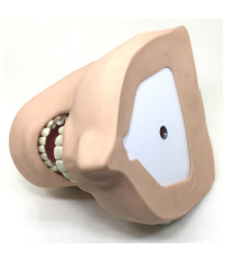 Upgrade Navadha Manikin to DM1 Mask & With DM1