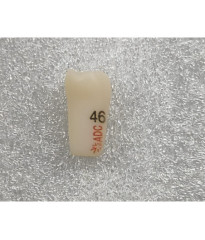 ADC PLATINUM Tooth 46 for ADC Model PRE ORDER