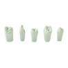 Typodont teeth EP-TPR-860 1X5 PIT/FIS GREEN