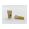 Columbia Dentoform Ivorine Dentine Tooth 860 & #8