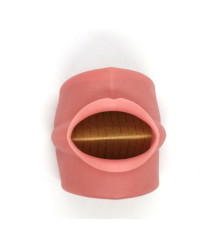 Universal Oral Cavity Cover for typodont Jaws & Without