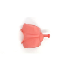 Universal Oral Cavity Cover for typodont Jaws & Without