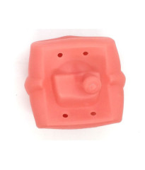 Universal Oral Cavity Cover for typodont Jaws & Without