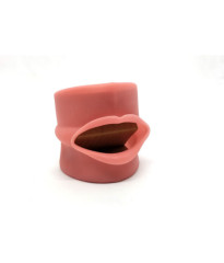Universal Oral Cavity Cover for typodont Jaws & Without
