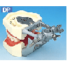 Articulator For Typodont Jaw