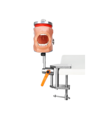 Dental Typodont Mounting Pole Rod