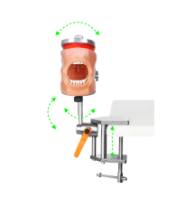 Dental Typodont Mounting Pole Rod