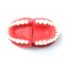 Kilgore 32-Tooth Hard Tissue Dental Typodont Model