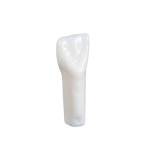 NDEB teeth & 11