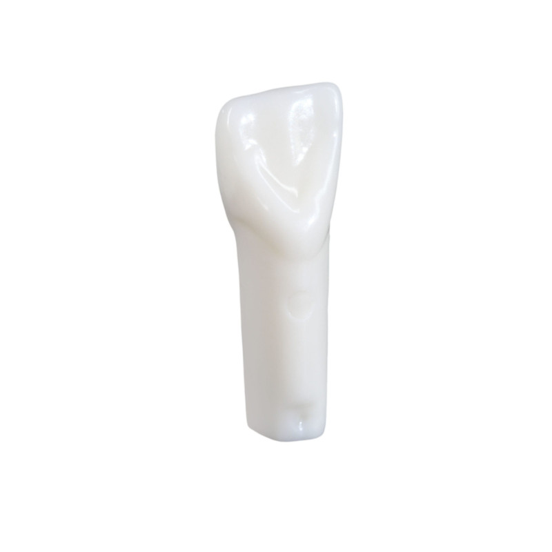 NDEB teeth & 11