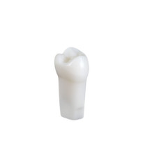 NDEB teeth & 18