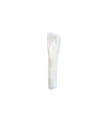 NDEB teeth & 25