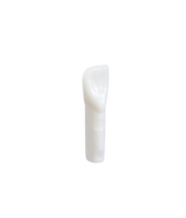 NDEB teeth & 32
