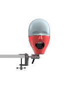 Dental Manikins